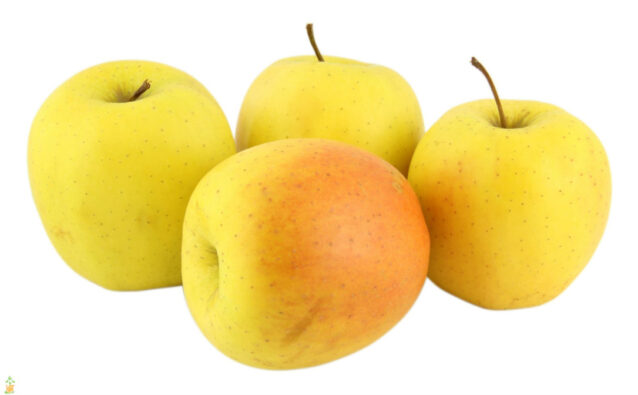 golden-delicious-apple